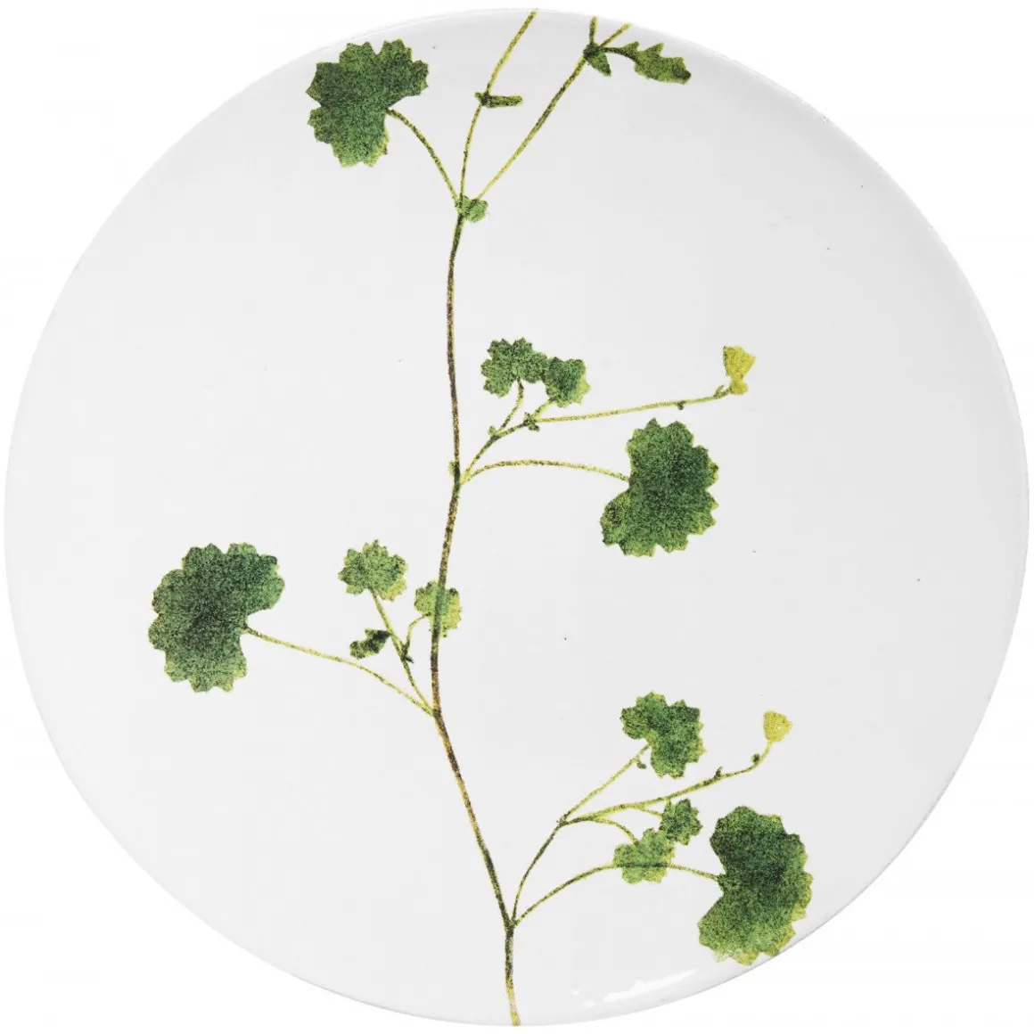Astier de Villatte Assiette Othona