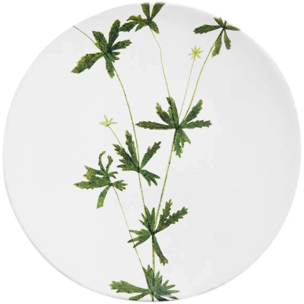 Astier de Villatte Assiette Tormentilla