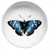 Astier de Villatte Coupelle Papillon Bleu