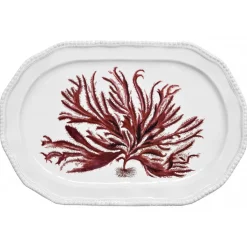 Astier de Villatte Plat Algue Rouge
