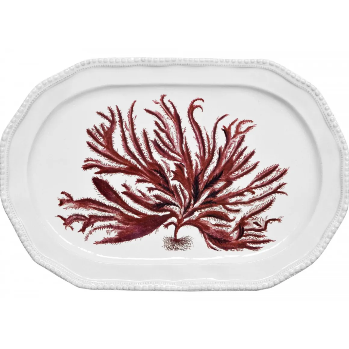 Astier de Villatte Plat Algue Rouge