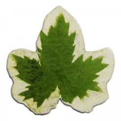 Astier de Villatte Plat Feuille 58