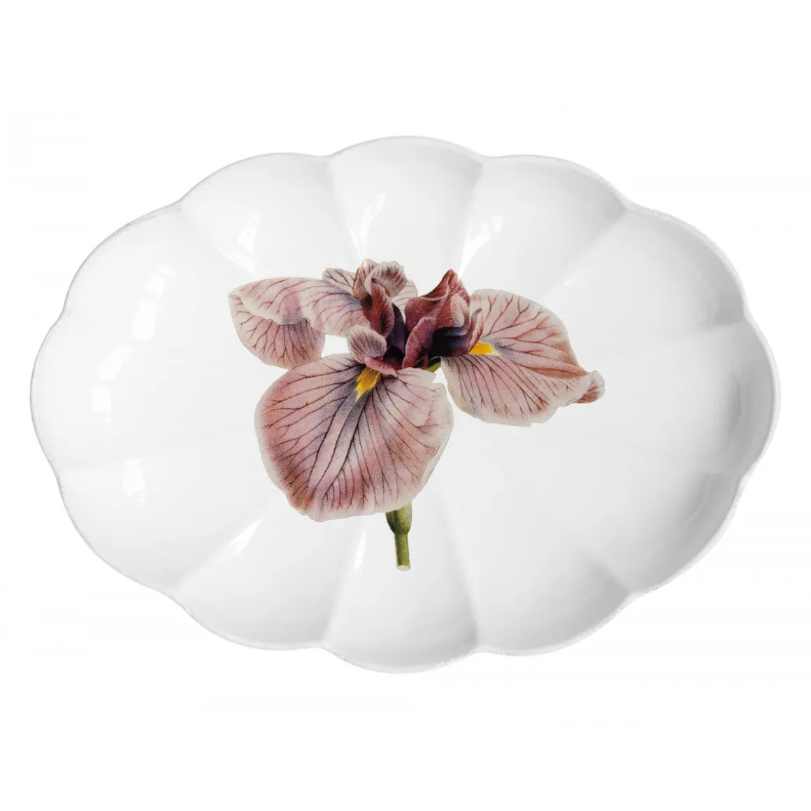 Astier de Villatte Plat Iris